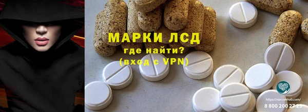 стаф Володарск