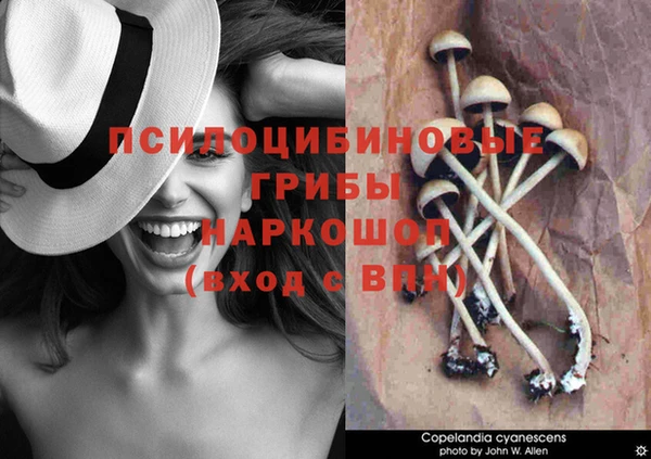 spice Нефтегорск