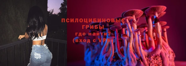 альфа пвп Саяногорск