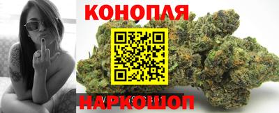 крисы Волгодонск
