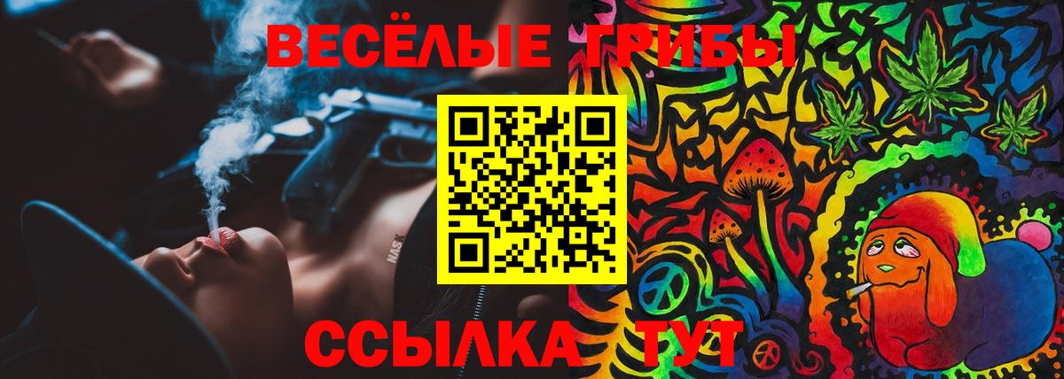 Псилоцибиновые грибы GOLDEN TEACHER  Псилоцибиновые грибы ЛСД  закладка  Красноперекопск  Вход с VPN 